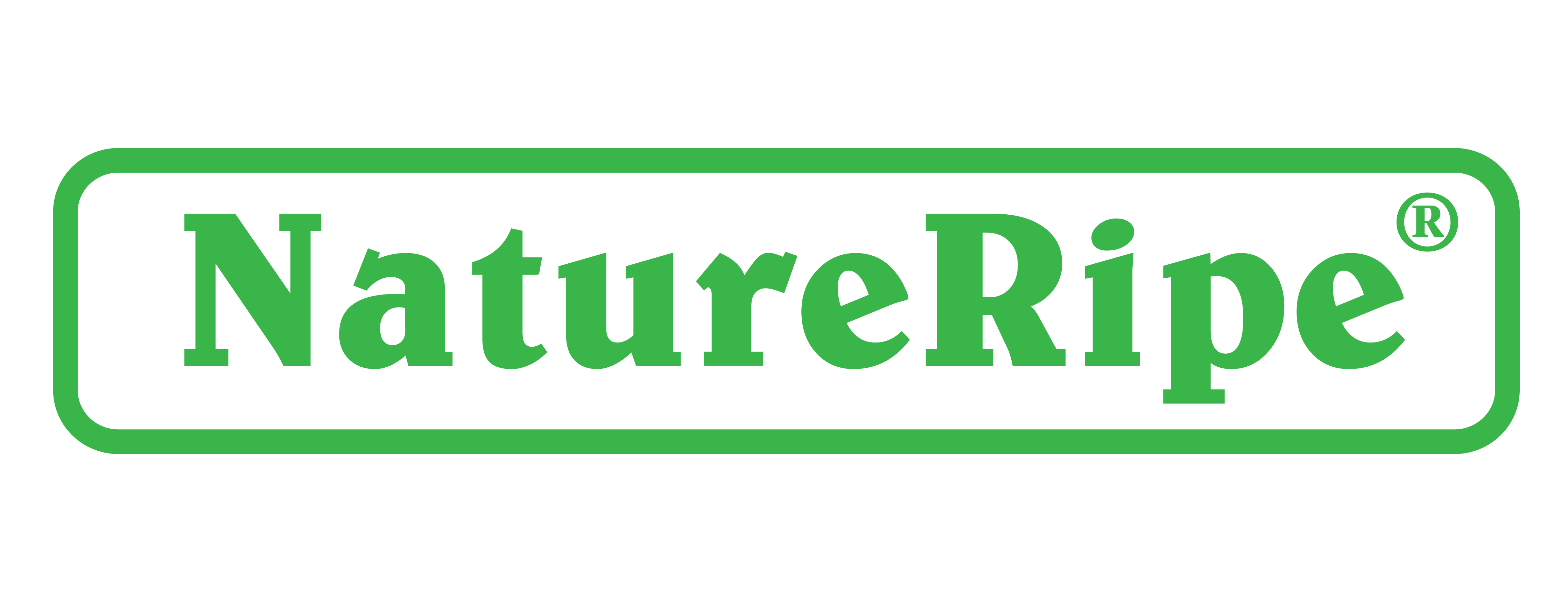 Natureripe logo image png